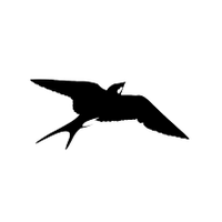Fuglsanggaard